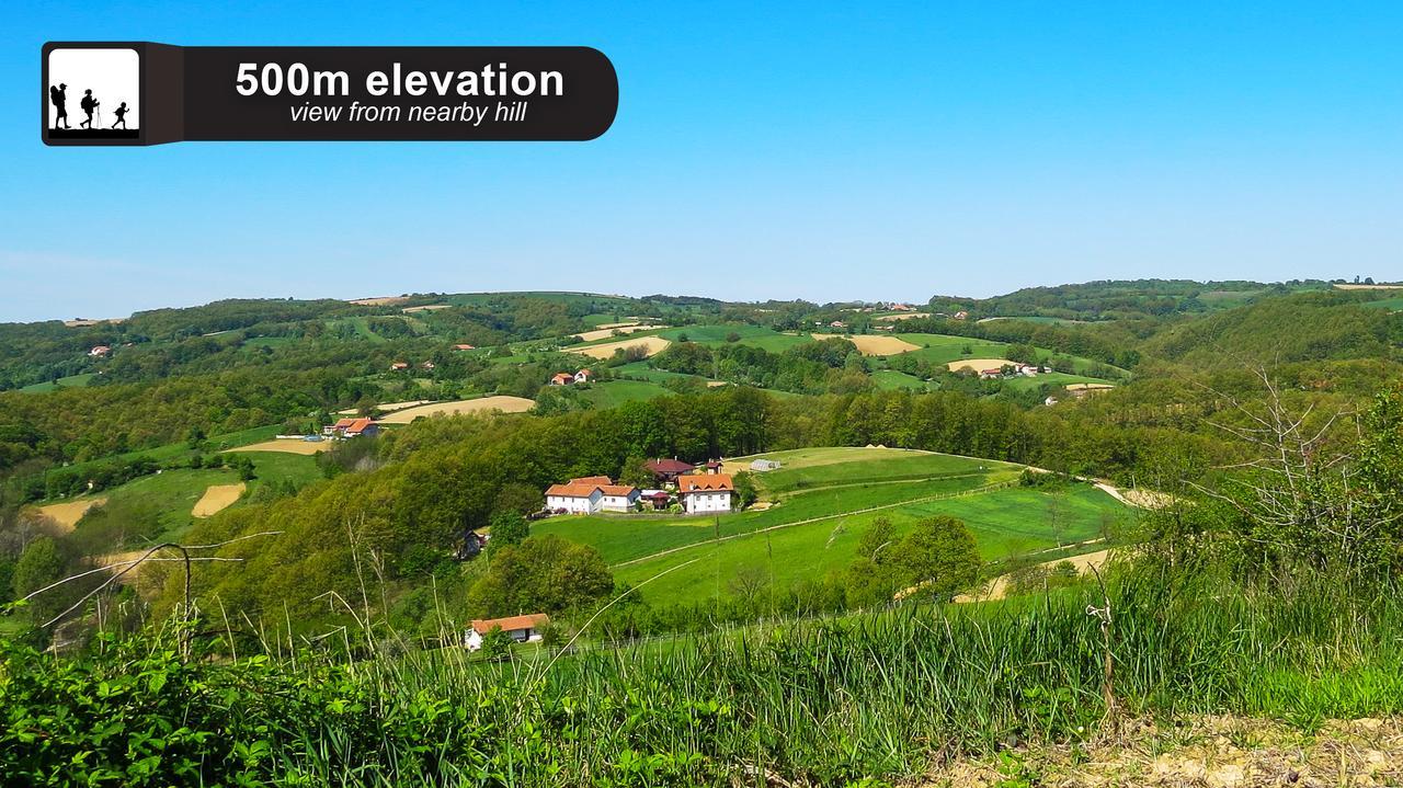 Eco Farm Milanovic Pension Despotovac Buitenkant foto