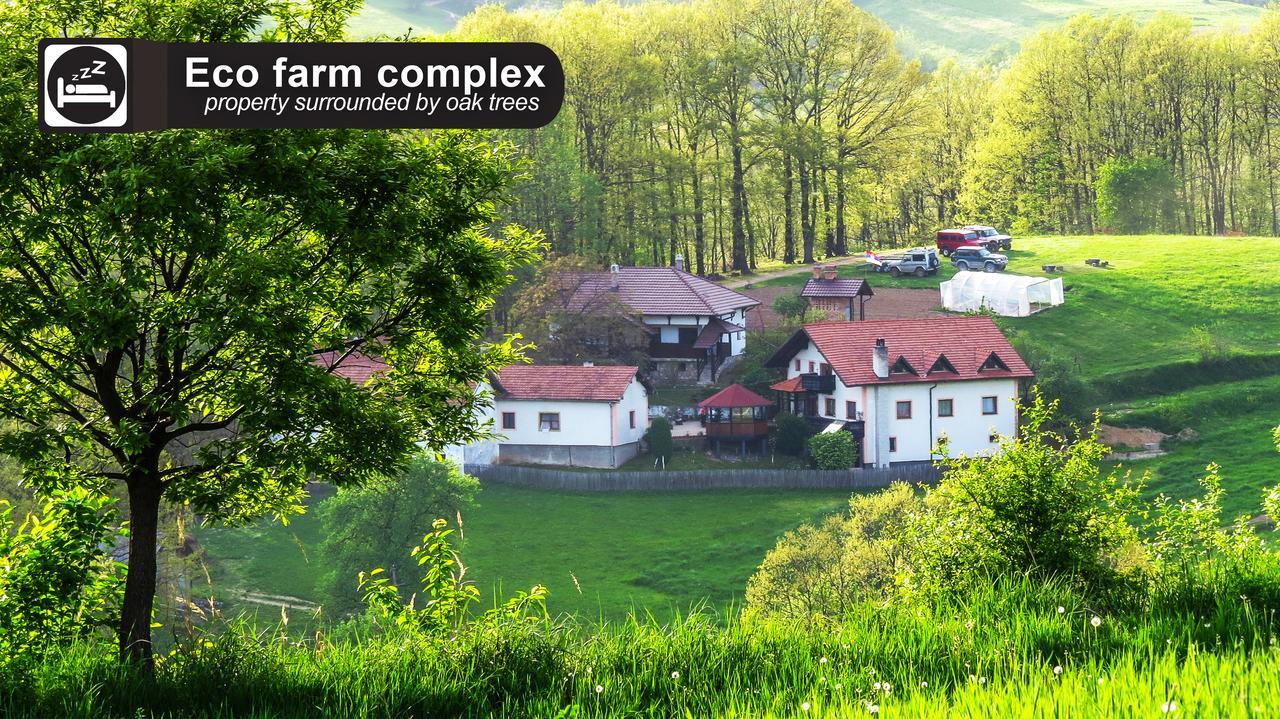 Eco Farm Milanovic Pension Despotovac Buitenkant foto