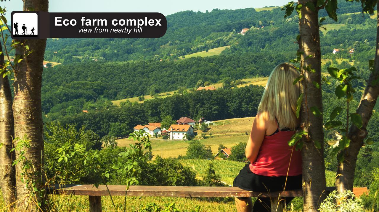 Eco Farm Milanovic Pension Despotovac Buitenkant foto