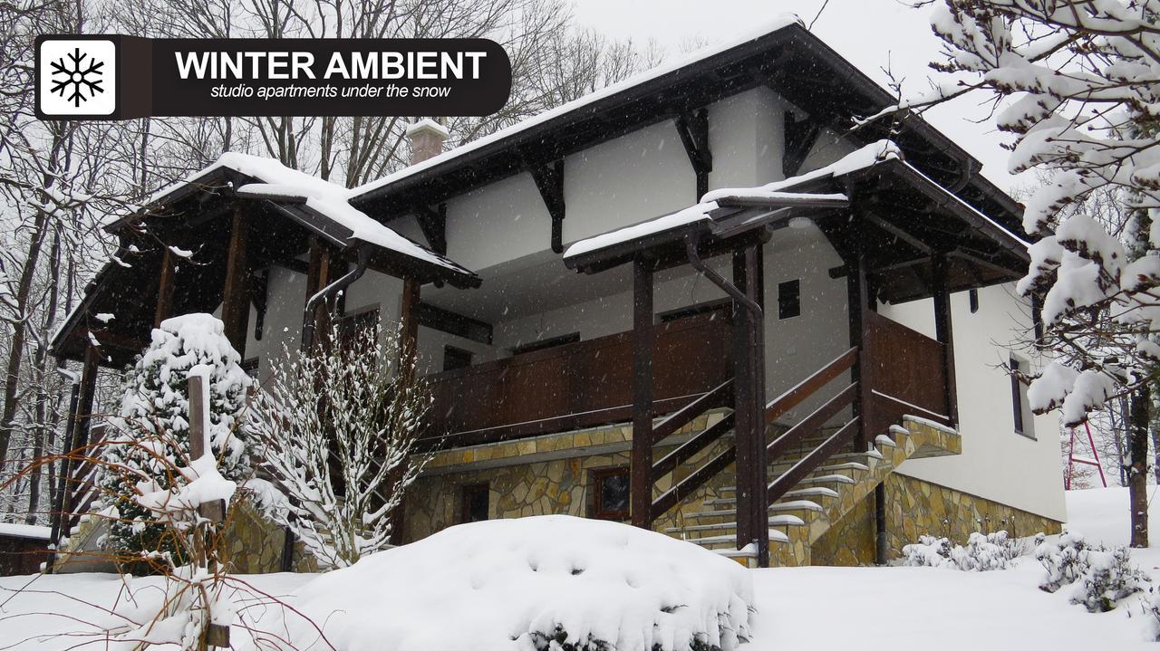 Eco Farm Milanovic Pension Despotovac Buitenkant foto